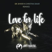 Love for Life (Jesse James Remix) [feat. Christina Skaar] [Jesse James Remix] artwork