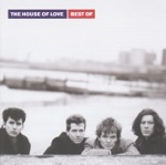 THE HOUSE OF LOVE - Feel