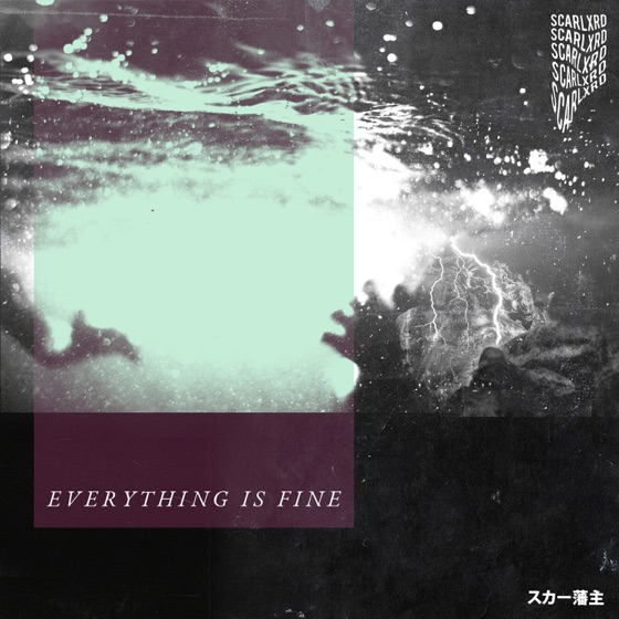 Cover artwork for EVERYTHING IS FINE