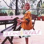 Alex the Astronaut - Not Worth Hiding