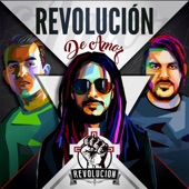 Revolución De Amor artwork