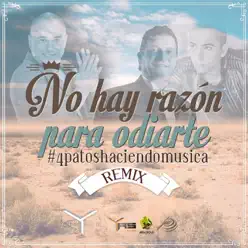 No Hay Razón Para Odiarte (Remix) [feat. Andy Rivera & Dario Gomez] - Single - Yelsid