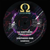 Ini Shepherd (feat. Prince David) artwork