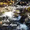 Alive Again - Single album lyrics, reviews, download