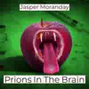 Prions in the Brain - Single album lyrics, reviews, download