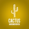 Cactus - Single, 2018