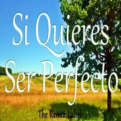 Si Quieres Ser Perfecto (Musica Cristiana Para Jovenes) - EP by Cristian Paduraru album reviews, ratings, credits