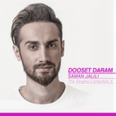 The Singles Collection: Dooset Daram artwork