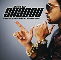 Shaggy - Best of Shaggy: The Boombastic Collection artwork