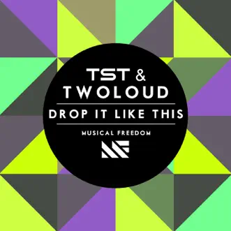 Drop It Like This by TST & twoloud song reviws