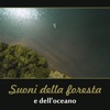 Suoni della foresta e dell'oceano - Musica rilassante per lo yoga, la meditazione, la spa, il sonno profondo e lo studio