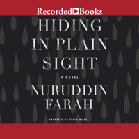 Naruddin Farah - Hiding in Plain Sight: A Novel artwork