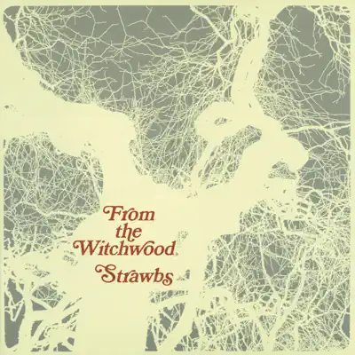 From the Witchwood - The Strawbs