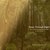 Dawn Through Night: Bird Calls and Nature Sounds in the Forest - Wildtones Nature Sounds