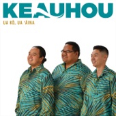 Ua Kō, Ua ʻĀina artwork