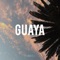 Guaya - Dura DJ lyrics