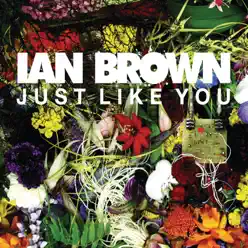 Just Like You - Single - Ian Brown