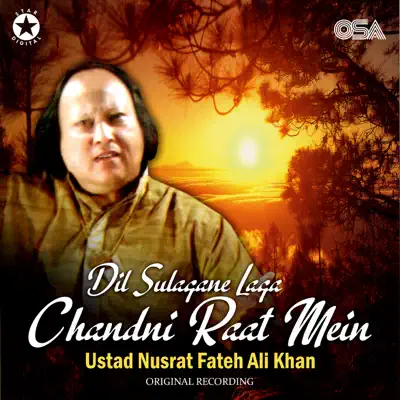 Dil Sulagane Laga Chandni Raat Mein - Single - Nusrat Fateh Ali Khan