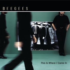 Bee Gees - Walking on Air - Line Dance Music
