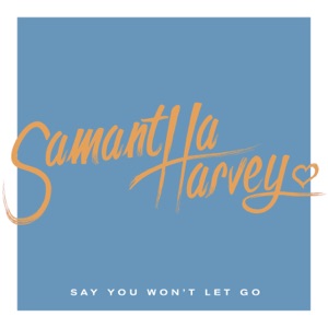 Say You Won't Let Go - Single