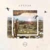 Apesar (feat. Paulo Nazareth) - Single