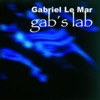 Gab`s Lab