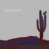 Cactus Holdup