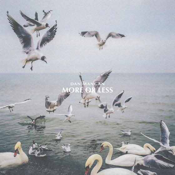 Cover artwork for Which Is It