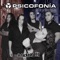 Cama de Rosas - Psicofonia lyrics