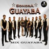 MIX Guayaba - Single