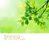 Shining My Life With Light - Single album lyrics, reviews, download