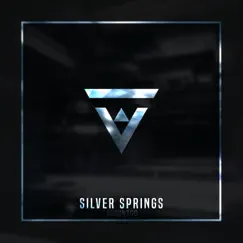 Silver Springs - Single by GODONTGO album reviews, ratings, credits