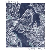 Mésange - Stars