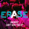 Can't Give You Up - Single