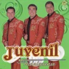 Trio Juvenil Hidalguense - Ni Me Viene, Ni Me Va