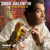 Dave Valentin - Come Fly With Me