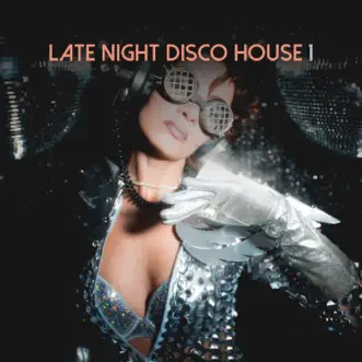 Late Night Disco House, Vol. 1 by Various Artists album reviews, ratings, credits