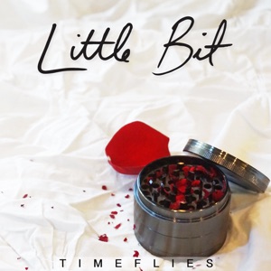 Timeflies - Little Bit - Line Dance Musik