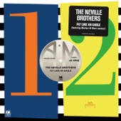 The Neville Brothers - Fly Like An Eagle (12" Remix)