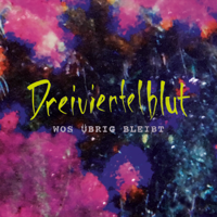 Dreiviertelblut - Wos übrig bleibt (Radio Edit) artwork