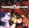 The Teardrop Explodes: The Collection album lyrics, reviews, download