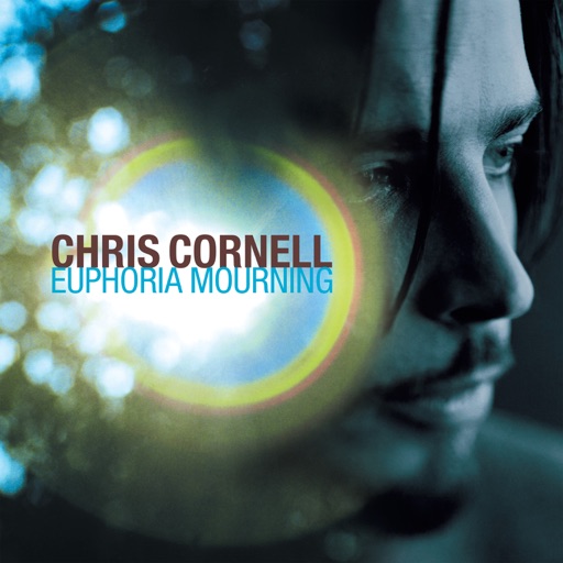 Art for Can't Change Me by Chris Cornell