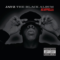 JAY-Z - The Black Album (Acappella) artwork