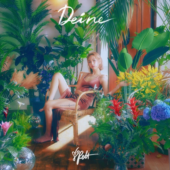 Cover artwork for Pluhmm