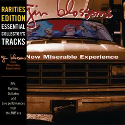 Rarities Edition: New Miserable Experience - Gin Blossoms