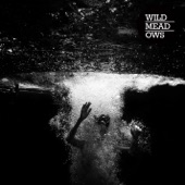 Wild Meadows - These Days