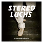 Stepp usem Reservat artwork