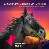 Omnibus (Subandrio Remix) artwork
