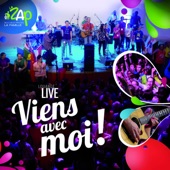 Viens avec moi (Live) artwork