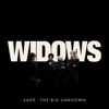 The Big Unknown - Single